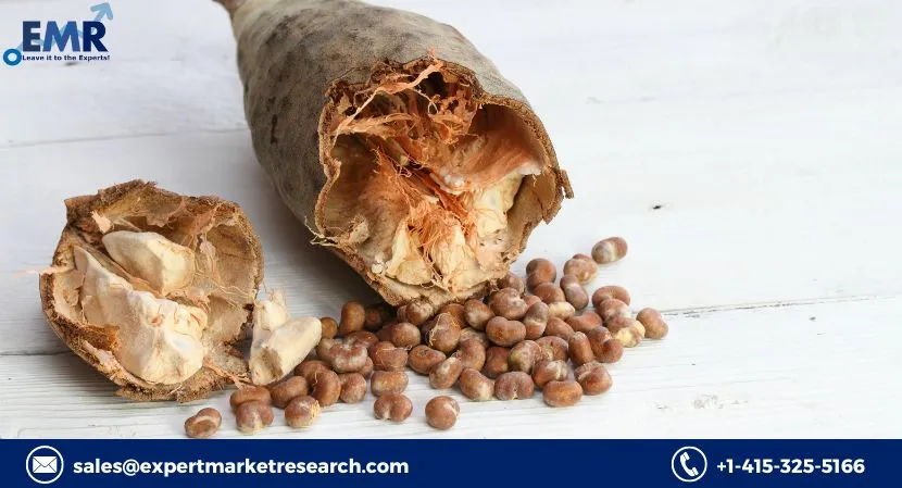 Global Baobab Ingredient Market Share, Key Players, Report, Growth, Size, Trends, Forecast 2023-2028