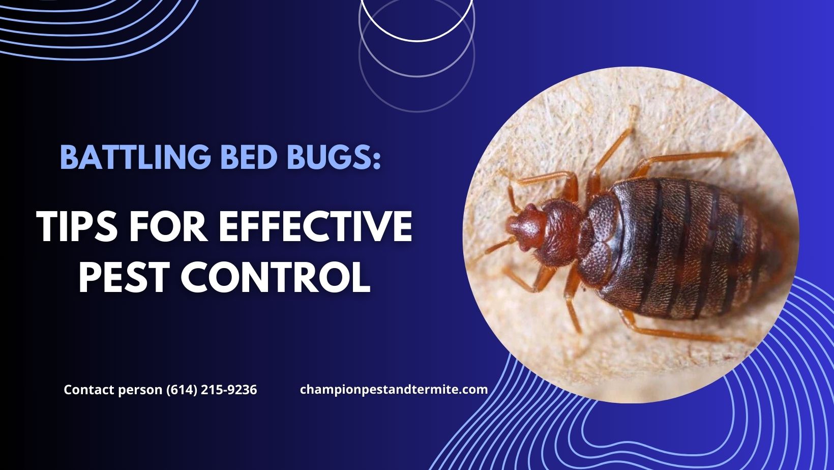 Battling Bed Bugs: Tips for Effective Pest Control