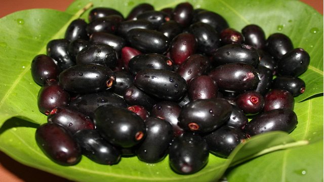 The Well being Benefits Of Jamun Fruit