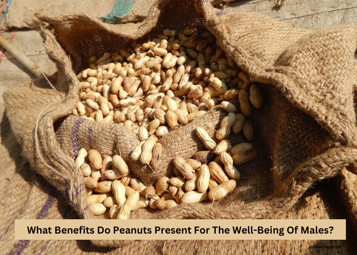 What Benefits Do Peanuts Present For The Well-Being Of Males?
