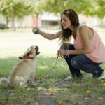 Puppy Training Services CO