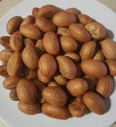 African nuts