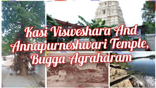 Kasi Visweshara and Annapurneshwari  Temple.