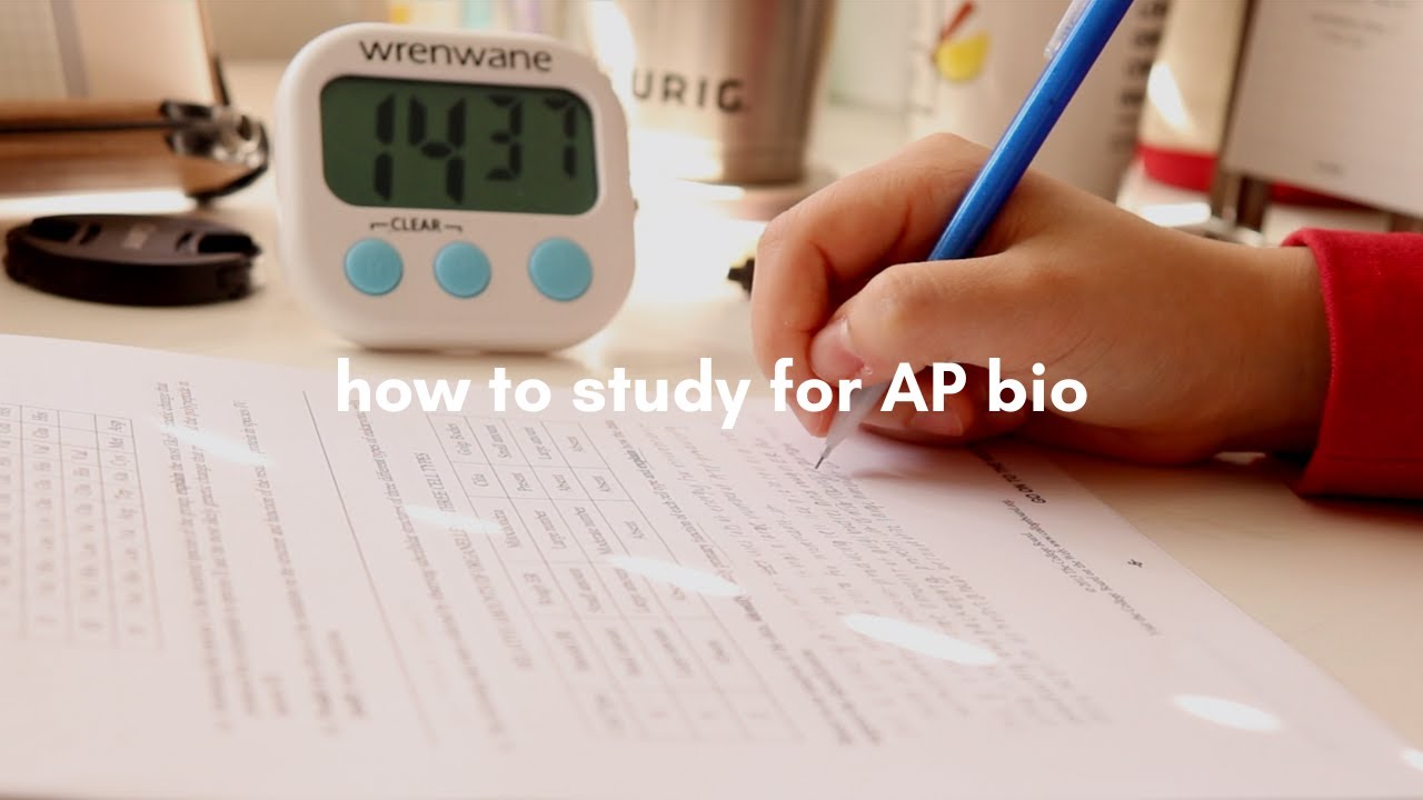 The Benefits of Using AP Biology Practice Tests and Study Guides