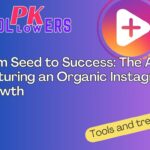 buy instagram followers Pakistan